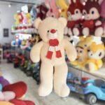 Sofy Toy Teddy