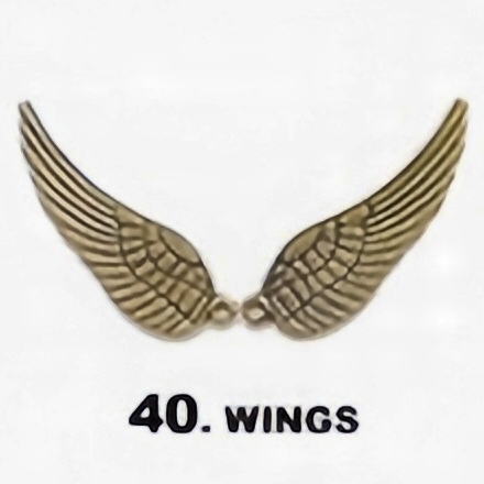 #40  - Wings