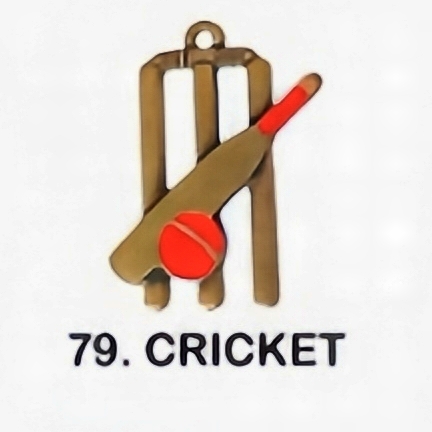 #79 - Cricket